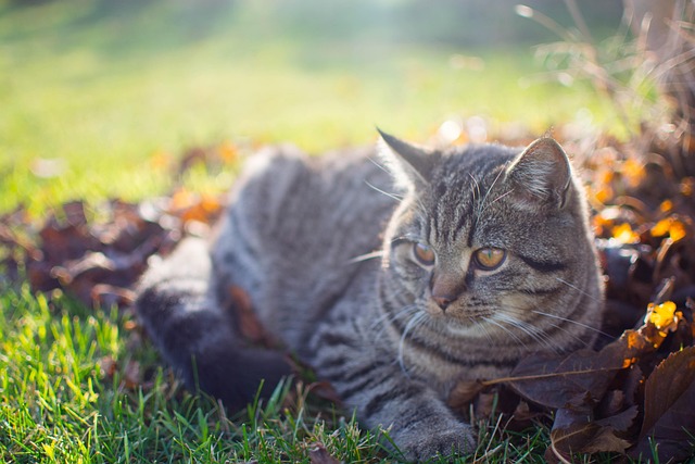 Maria Moore tweet media