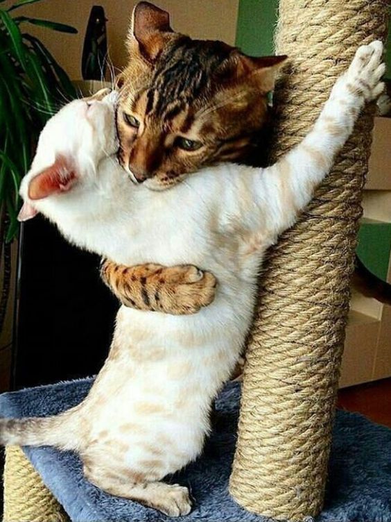 Squirrelly tweet media