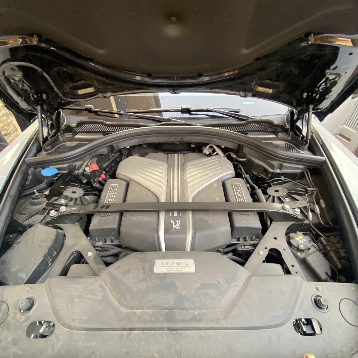 Jimi Animashaun tweet media