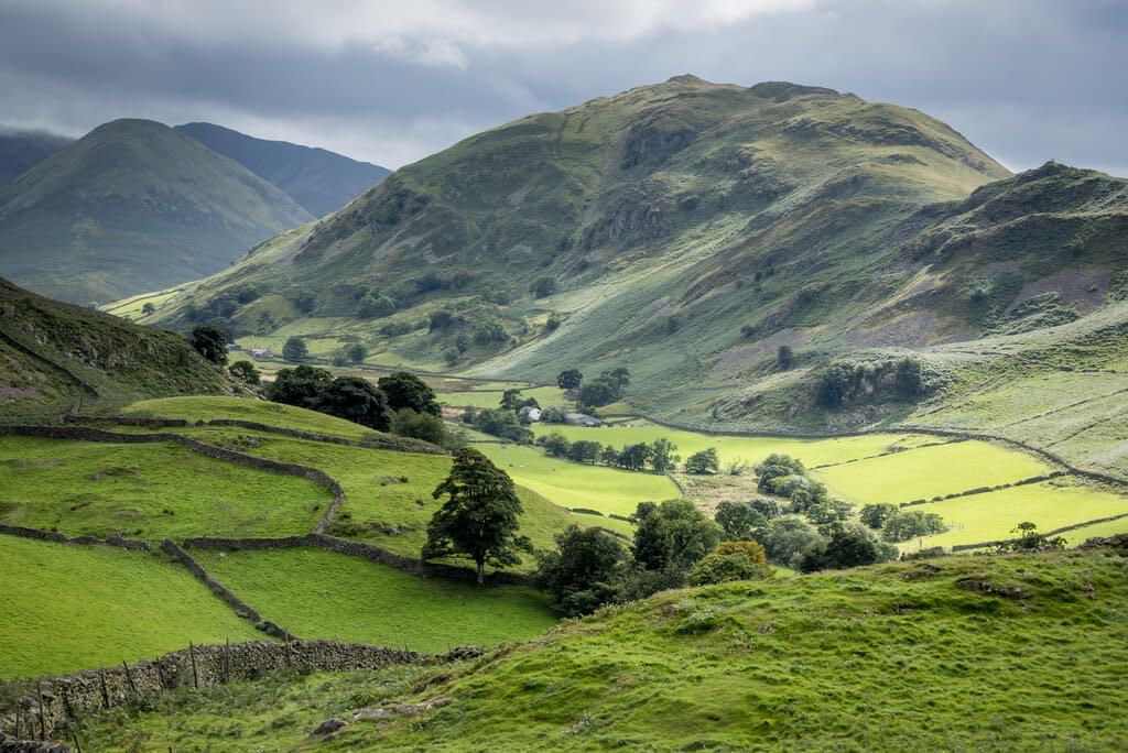 Restore Britain tweet media