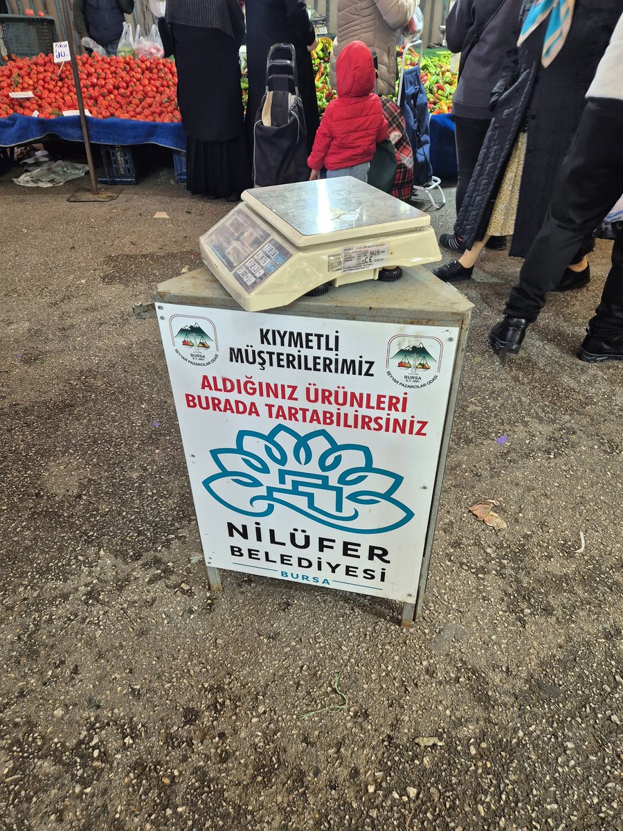 fatih düz tweet media