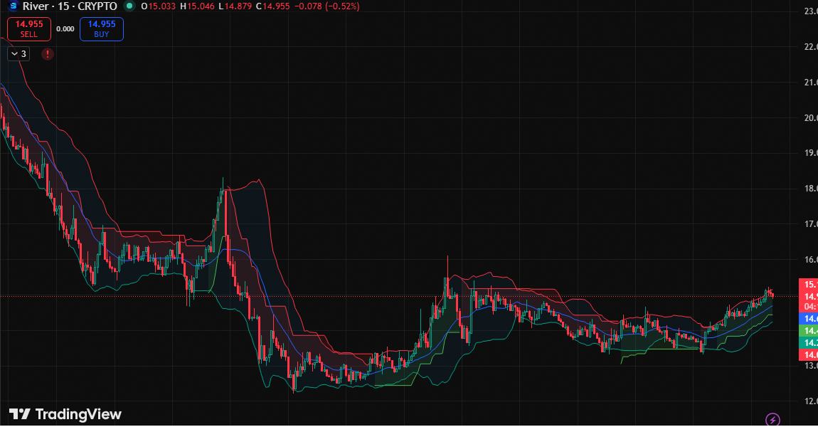 Logan Reed 💪 tweet media