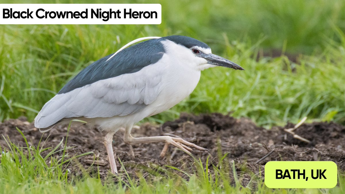 Tam & Lauren tweet media