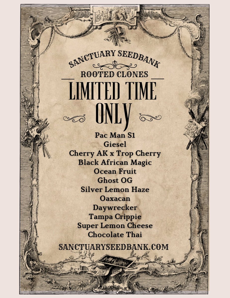 SanctuarySeedX's tweet photo. https://t.co/vdMNUSf7XF