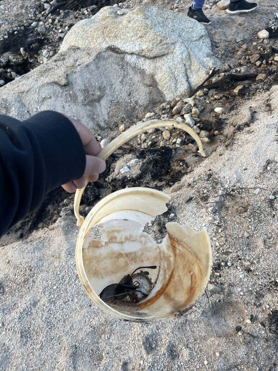 Brummi 🚛 貨車司機 tweet media