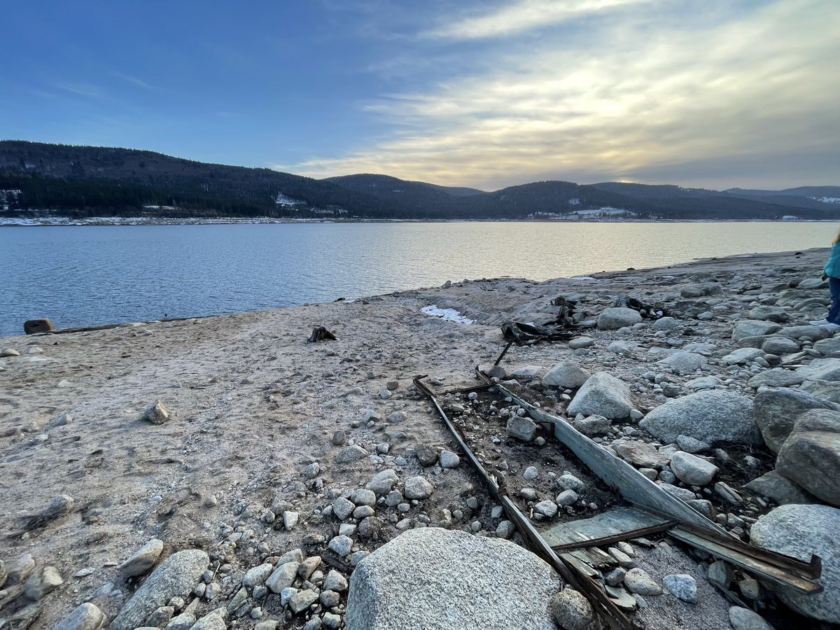 Brummi 🚛 貨車司機 tweet media