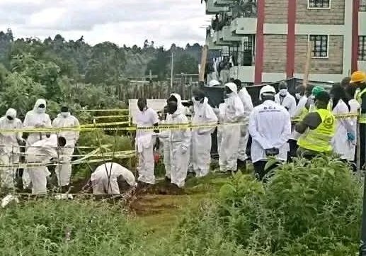 The Mayor tweet media