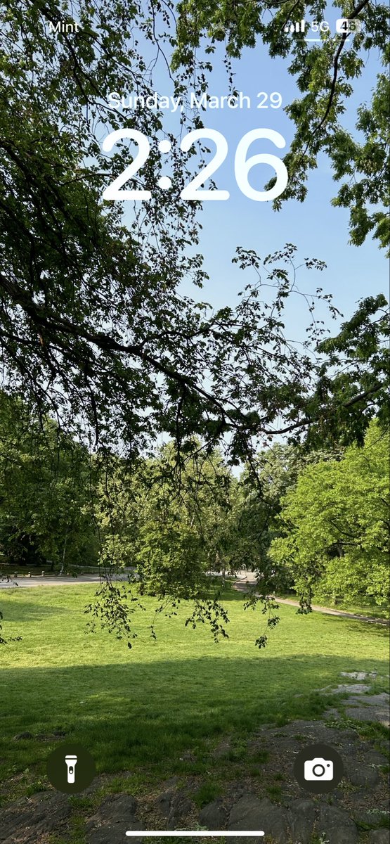 Kazimierz tweet media