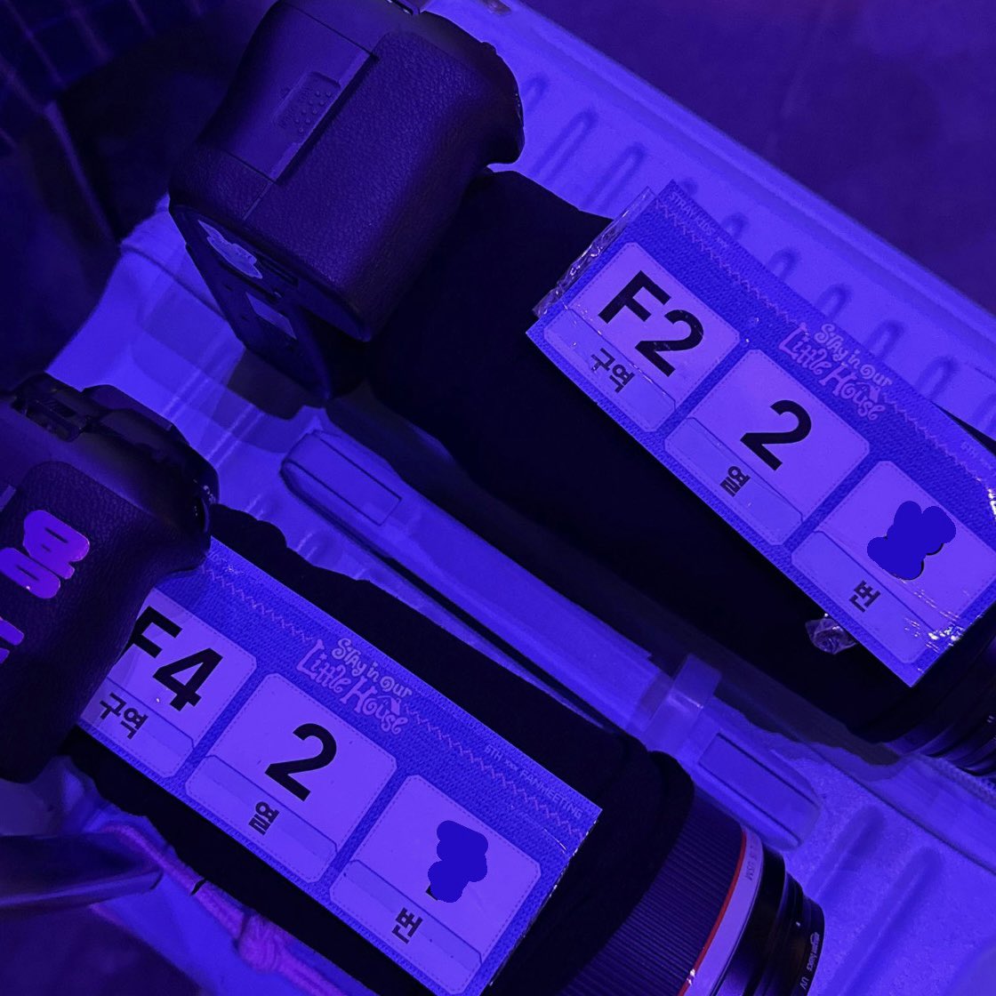 🛸🐹 tweet media