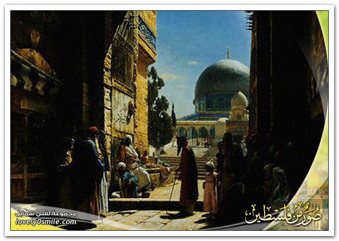 Abo Khalid🇸🇦 tweet media