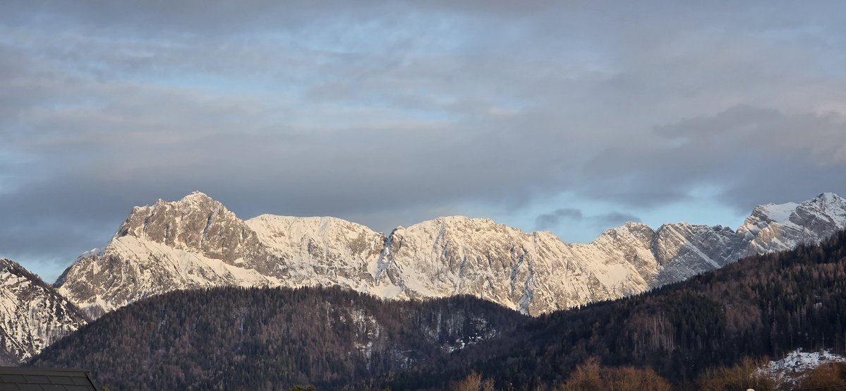 Эмигрант Анатолий. Без устриц и фуа-гра tweet media