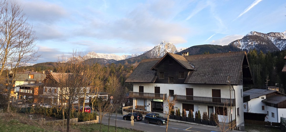 Эмигрант Анатолий. Без устриц и фуа-гра tweet media