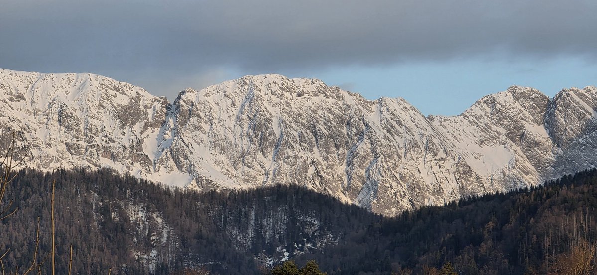 Эмигрант Анатолий. Без устриц и фуа-гра tweet media