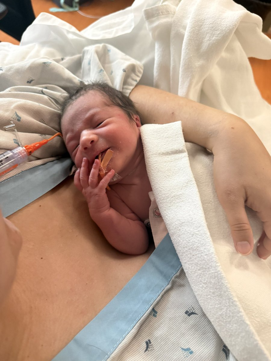 Connor Simmons tweet media