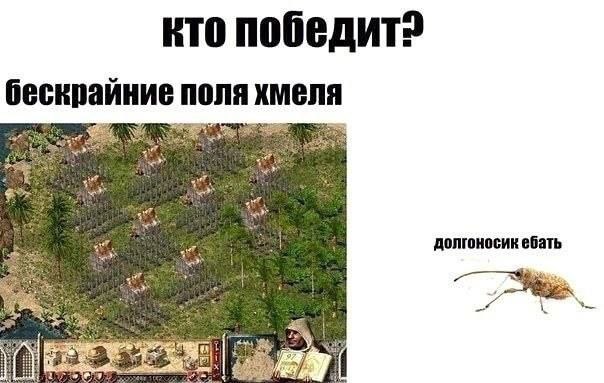 прётолик tweet media