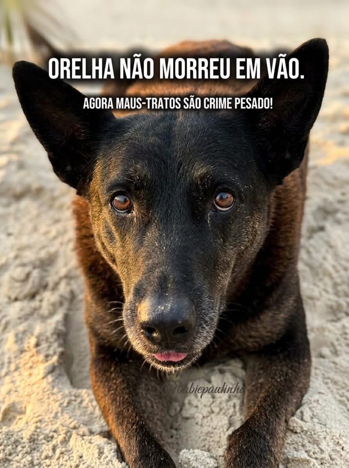 Marco Valverde ® tweet media