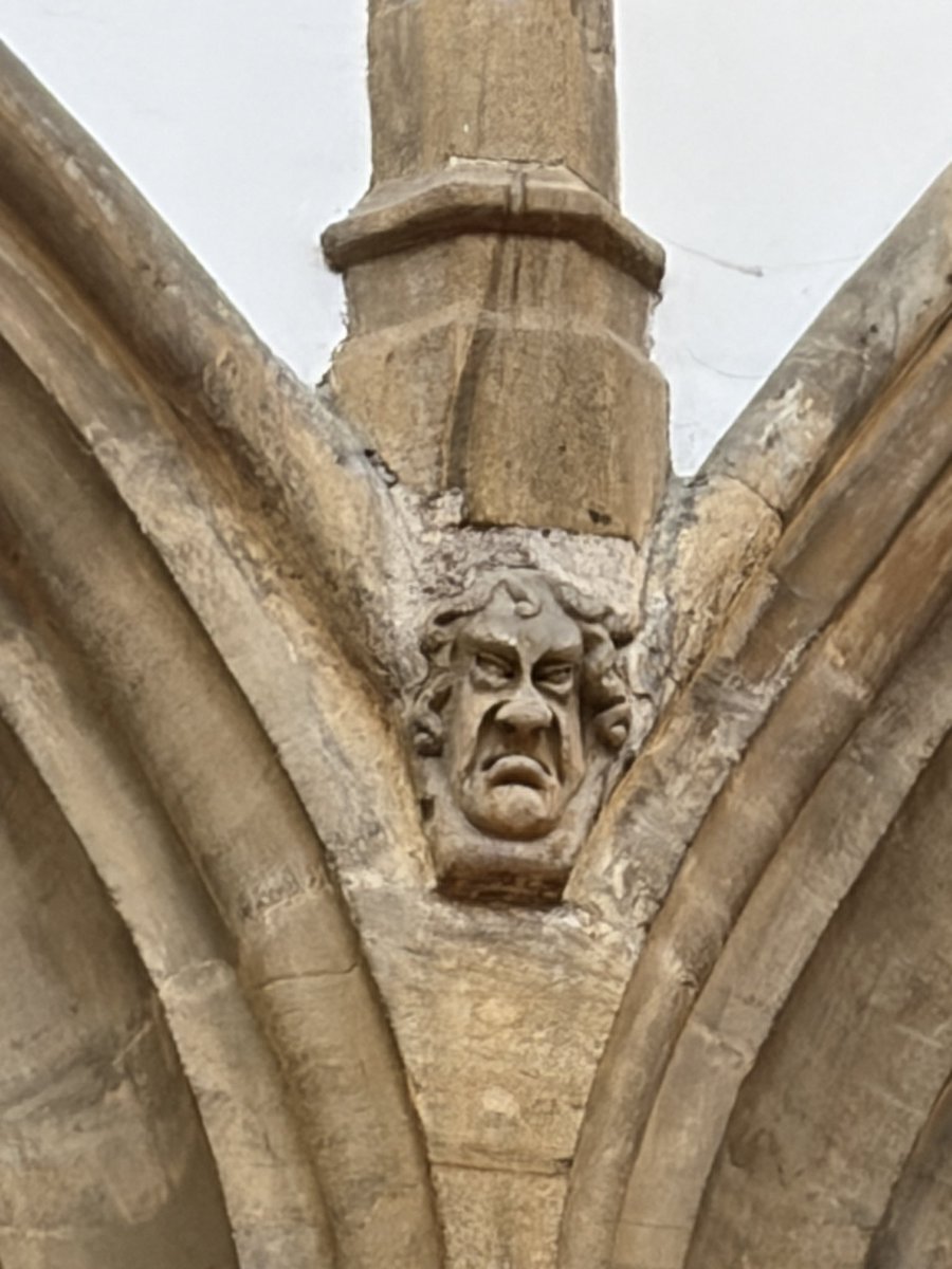 At a performance of a Dvorak mass, and someone’s not enjoying it >>