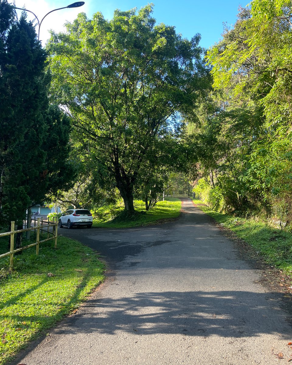 Kattareeya Jatanan tweet media