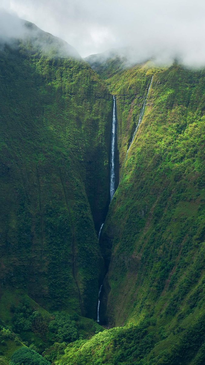 worldclick56's tweet photo. Waterfall In Hawaii 🇺🇸🍃 https://t.co/yK5QofwqMm