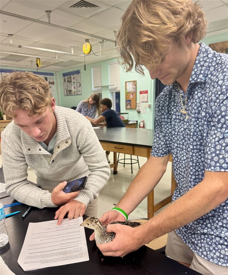 Saint Edward's School tweet media