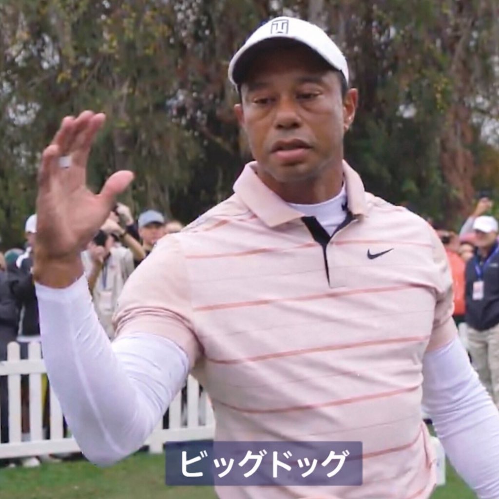 Seed Oil Disrespecter™️ tweet media