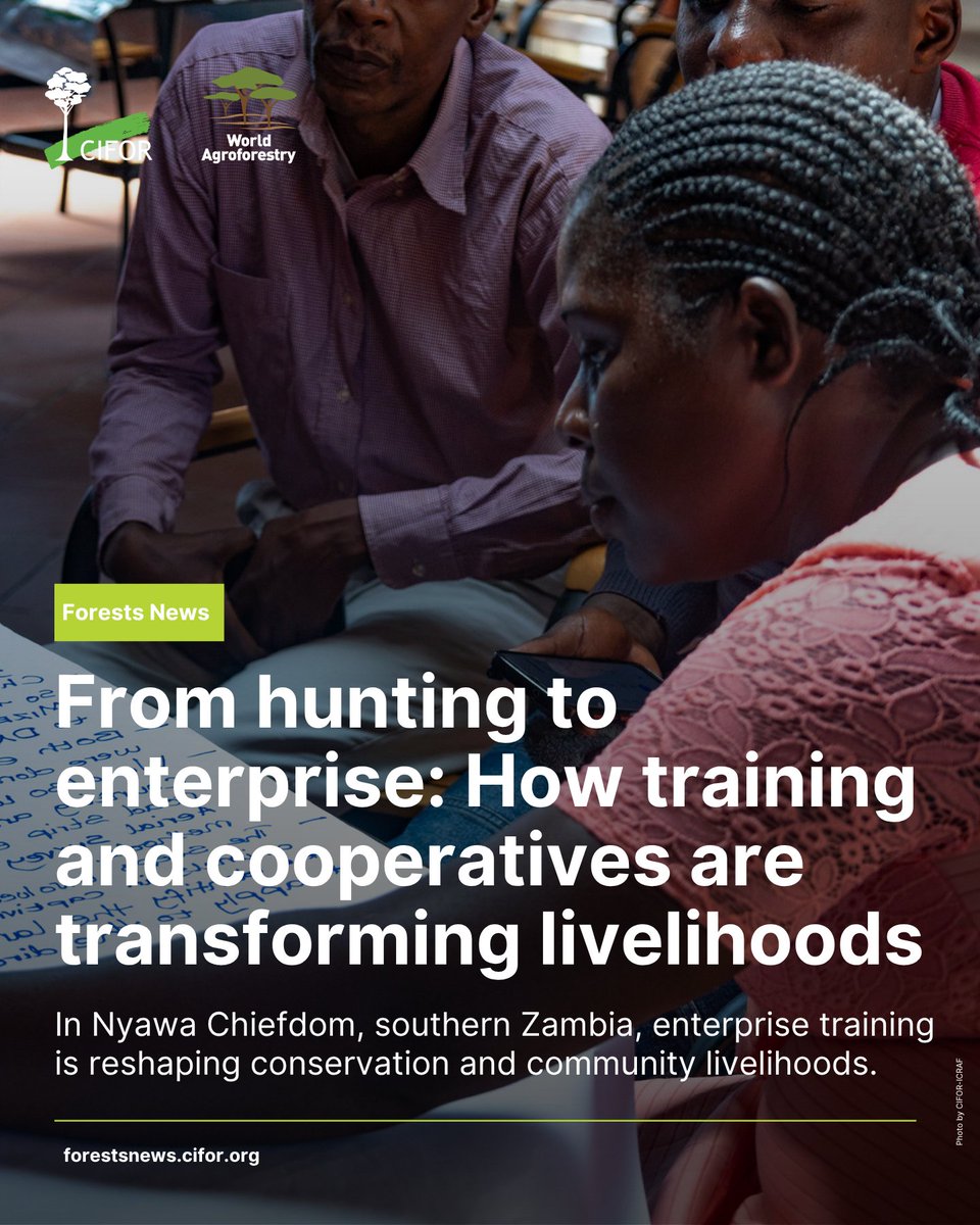 TheLandAlliance's tweet photo. In southern Zambia, enterprise training is helping communities move from hunting to alternative livelihoods.

Through the #SWMProgramme, cooperatives are strengthening skills, governance, and income options.

Read more:🔗 https://t.co/3J3FUw6NKW

#Trees4Resilience https://t.co/lfNkSpnDHt