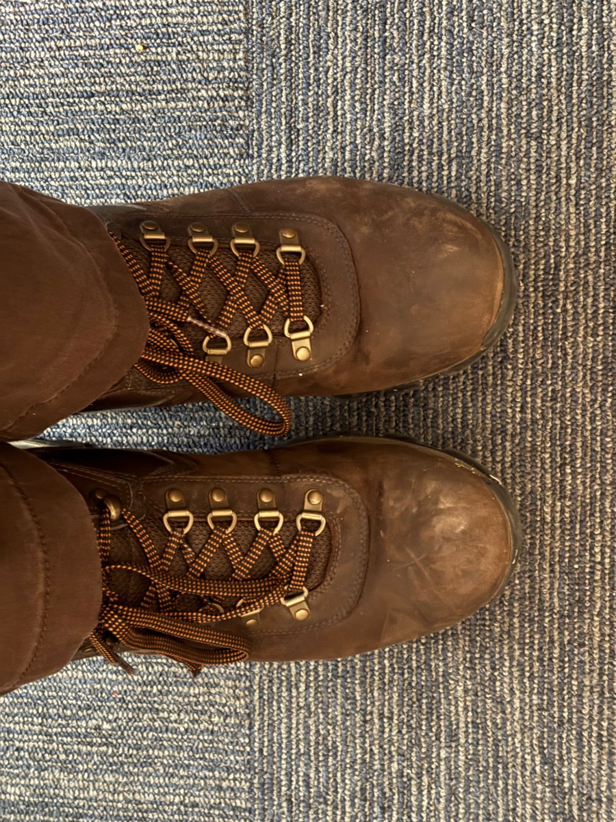 Dux Quack 🦆 tweet media