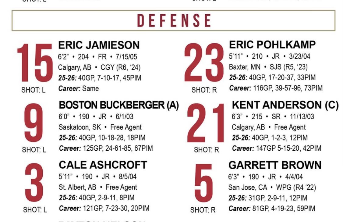 Greater Alberta College Hockey tweet media