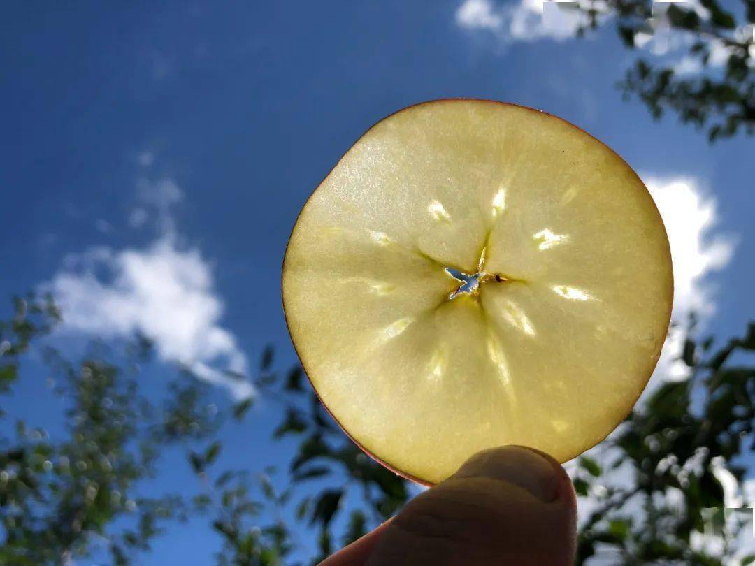 enablefinance tweet media