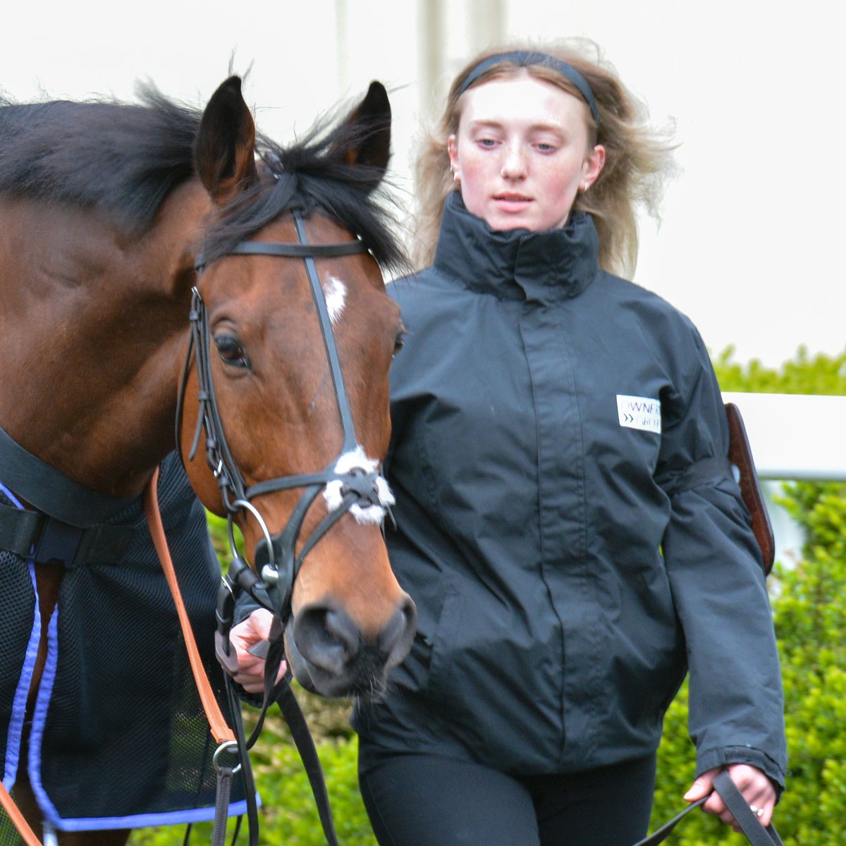 Owners Group tweet media