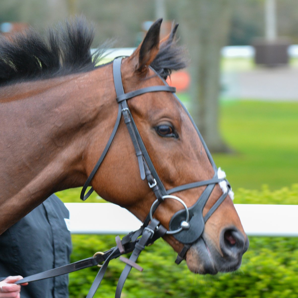 Owners Group tweet media