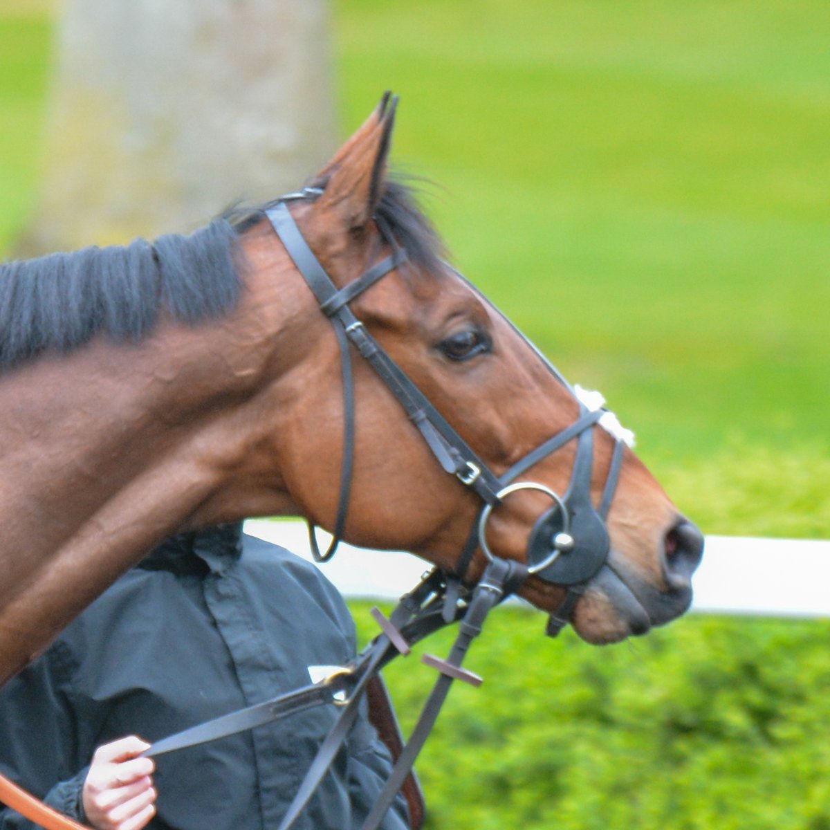 Owners Group tweet media