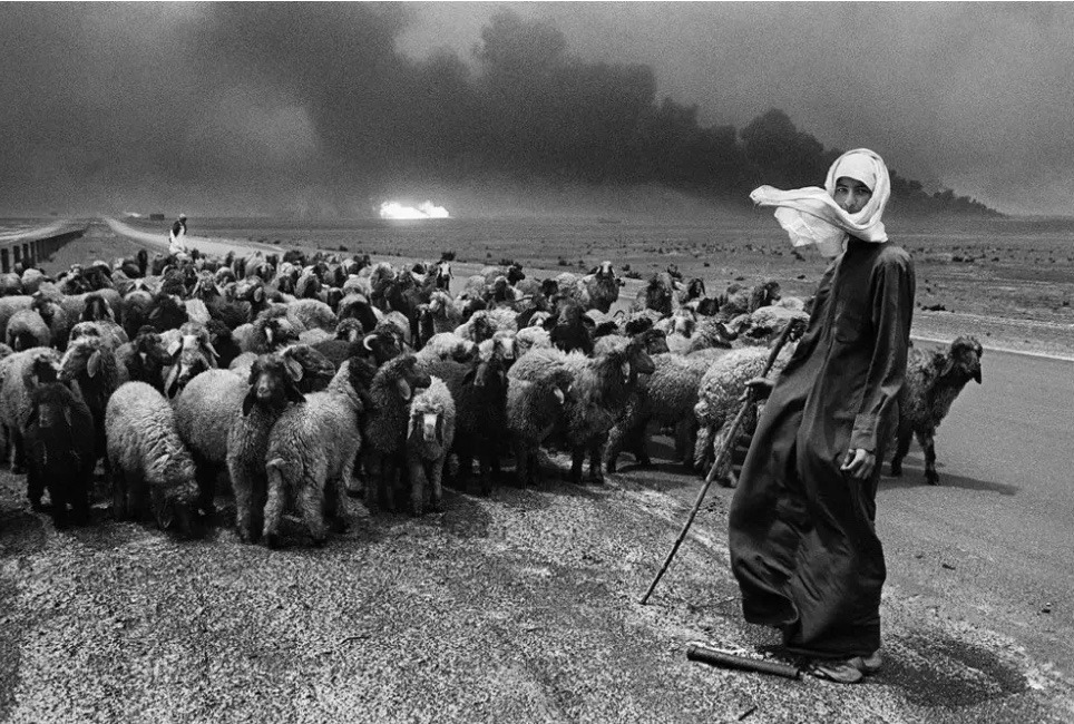Alghurabaaaaaa's tweet photo. The Prophet Muhammad ﷺ said,
“Allah did not send any prophet but that he cared for sheep.”

The companions asked, “And you as well?” 
He replied, “Yes, I was a shepherd with a modest wage on behalf of the people of Mecca.” https://t.co/IUeT2h8hyk
