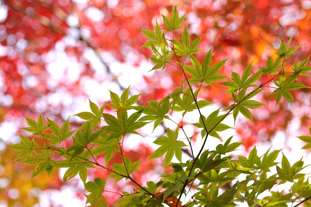 Stuart Bower tweet media