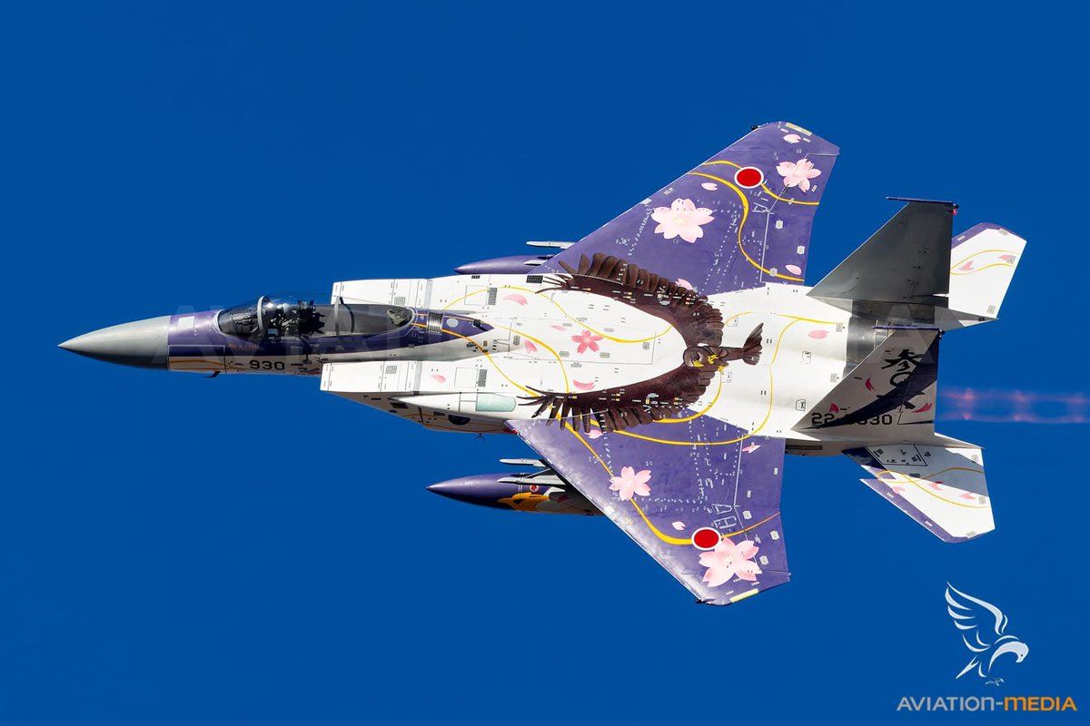 SimoneSyed's tweet photo. F-15J uwu
🇯🇵❣️🌸 https://t.co/LpSkVgu1bx