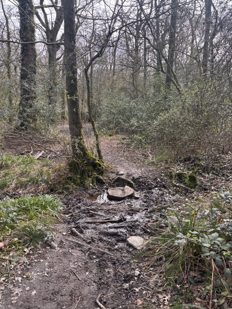 Mark Mawdsley tweet media