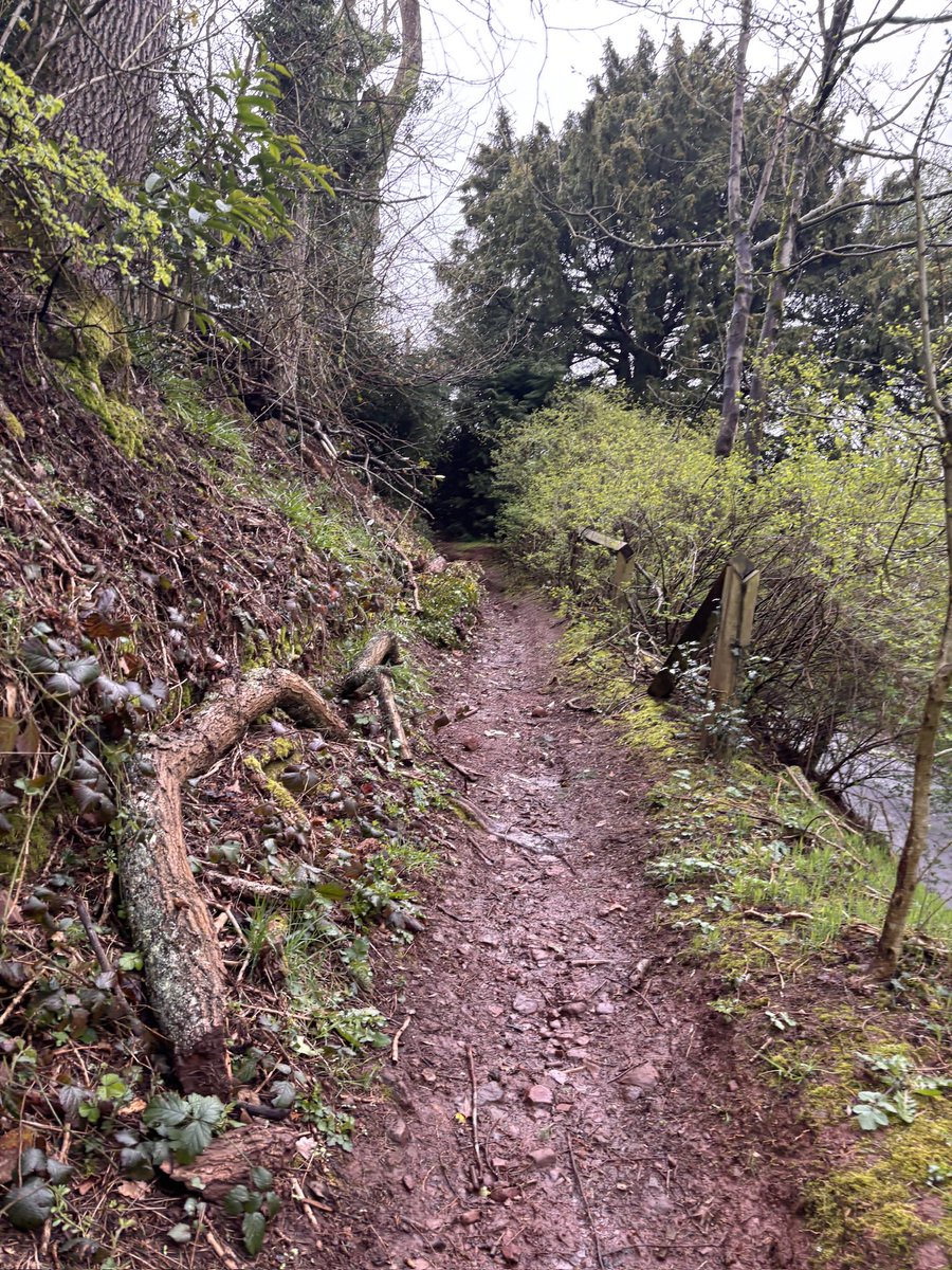 Mark Mawdsley tweet media