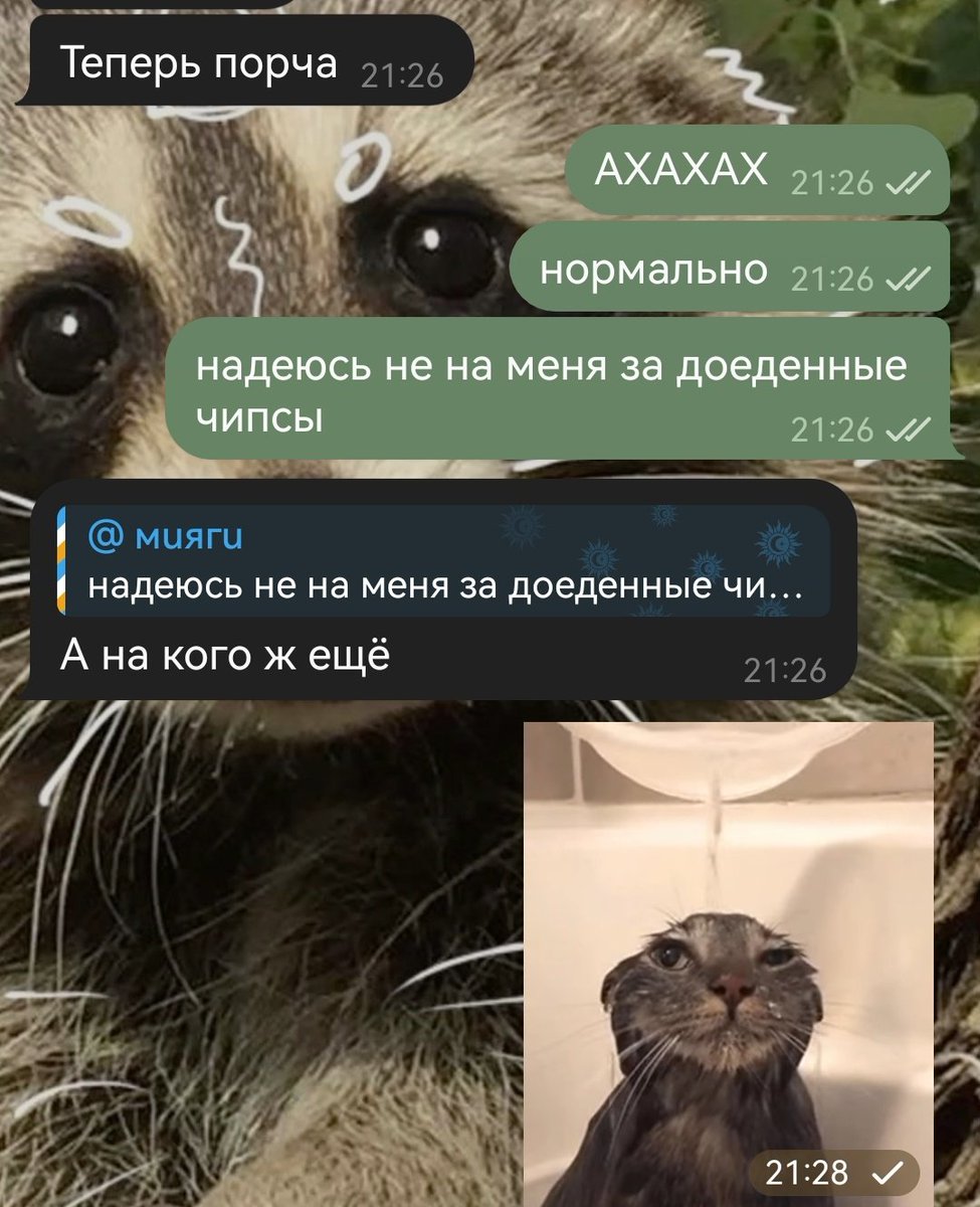 мияги эщкере tweet media