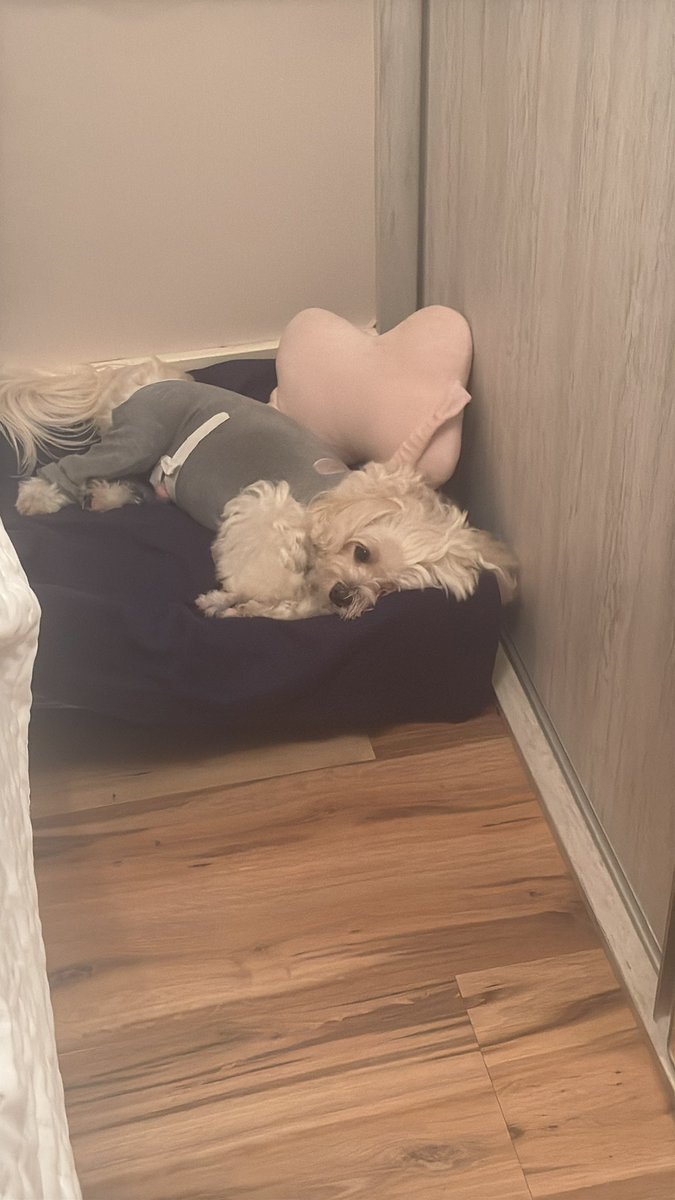 Renata Assis🦅 tweet media