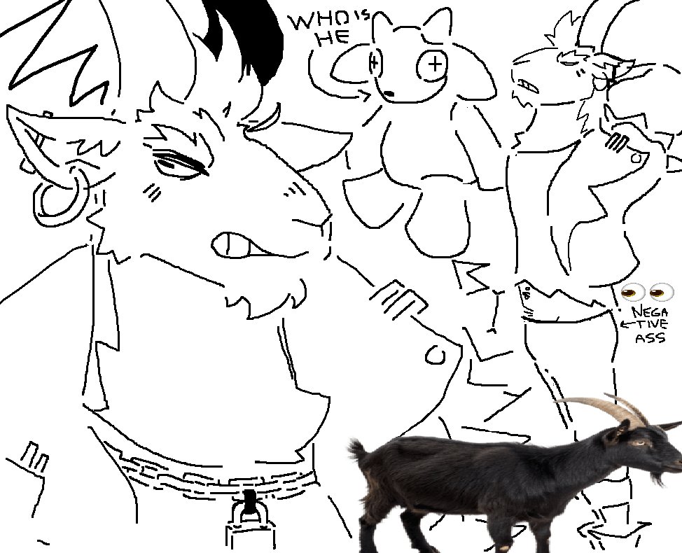 🦝 coco!! tweet media