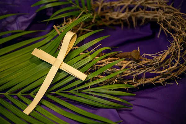 Wishing everyone a blessed Palm Sunday! 🌿 May this day of hope, renewal, and peace fill your hearts with joy and faith.