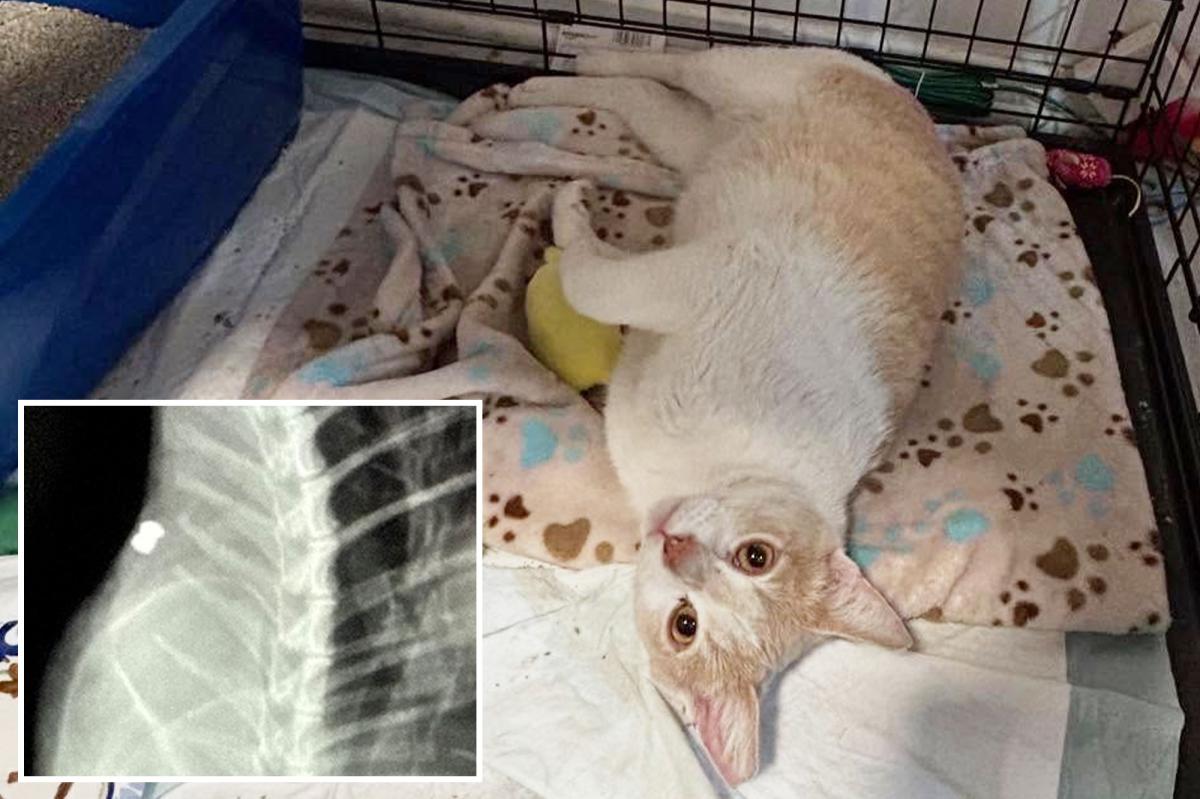 New York Post tweet media