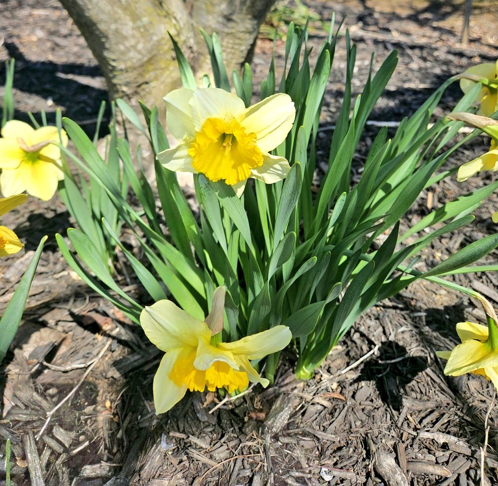 Adrienne & Rugie tweet media