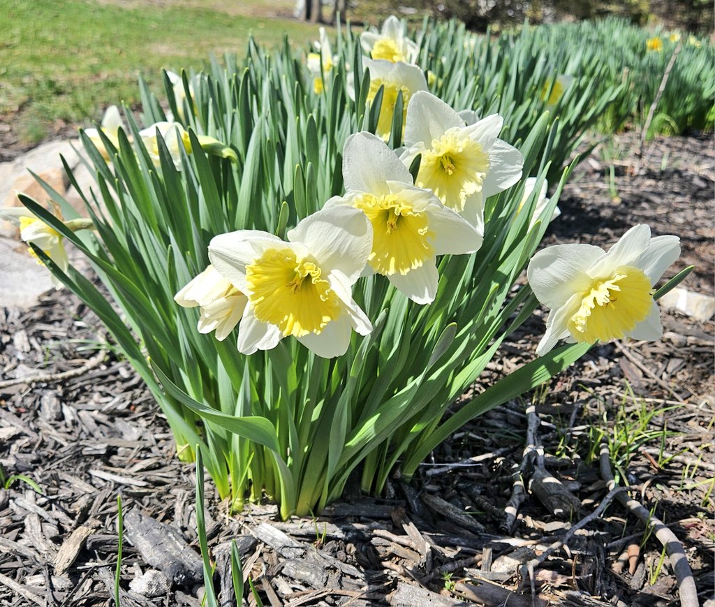 Adrienne & Rugie tweet media