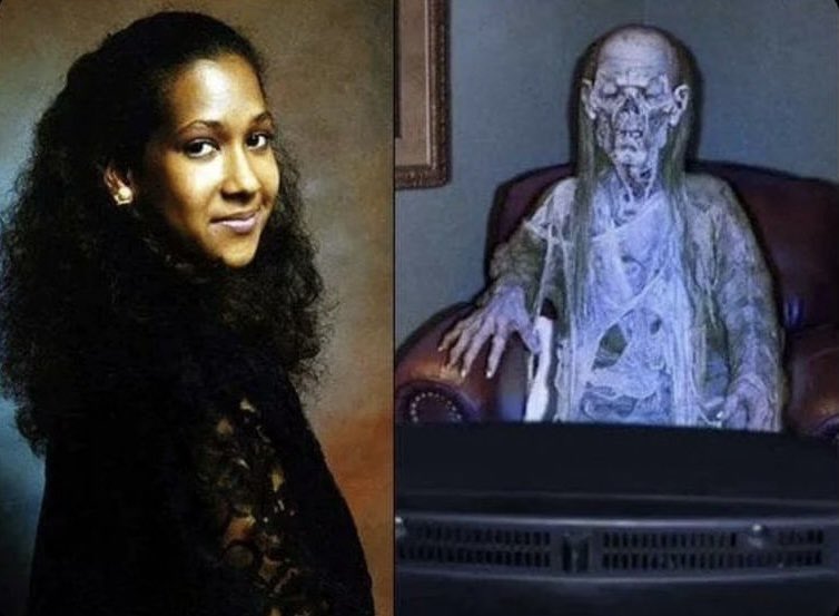 Wild Videos tweet media