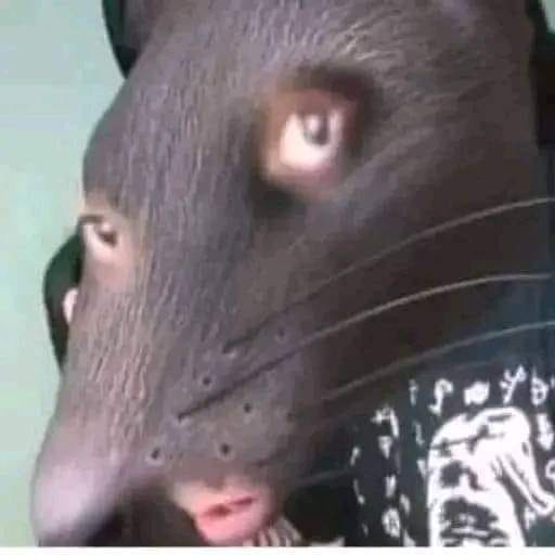 シャルティエ tweet media