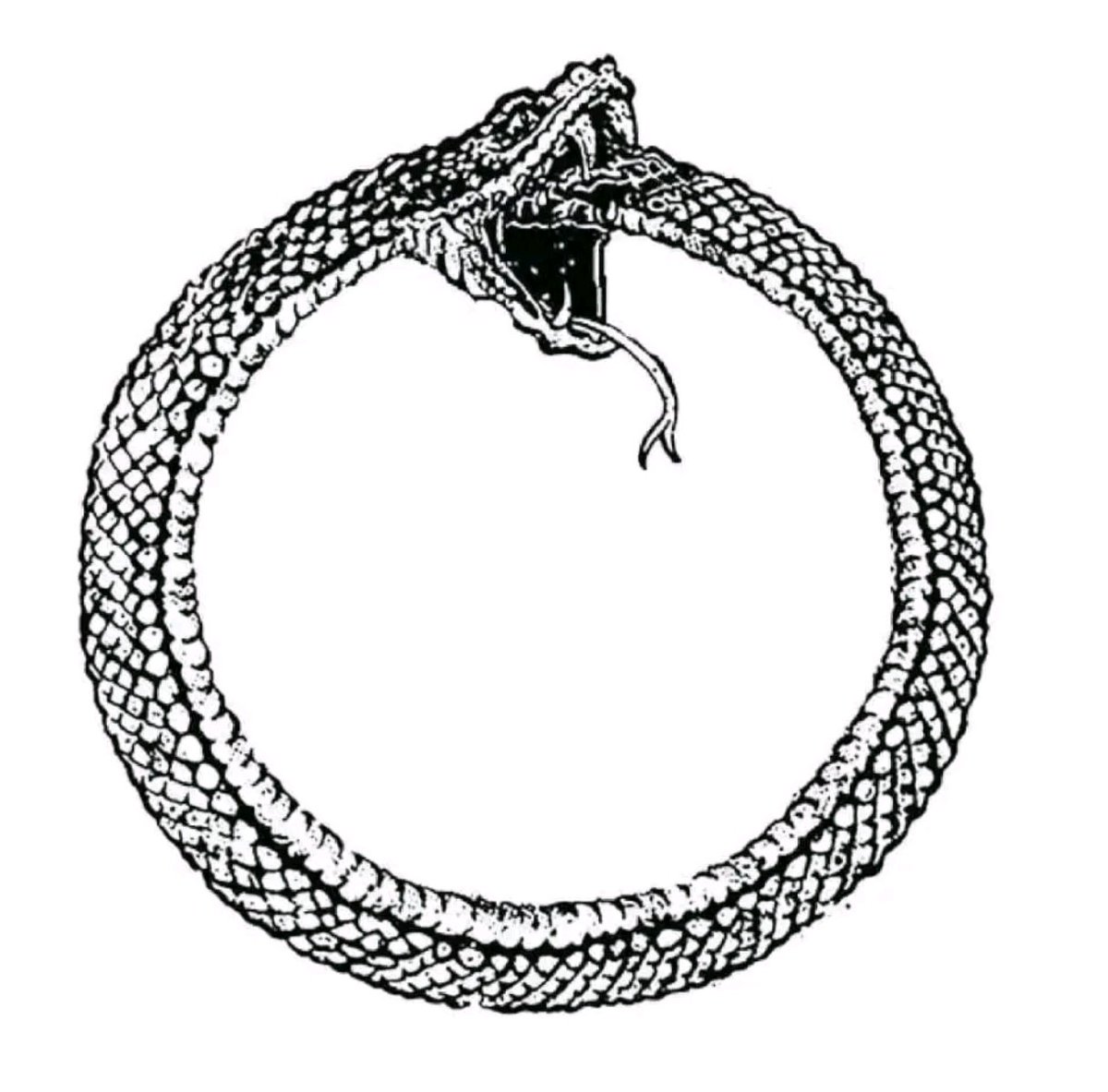 Flockyy_17 tweet media