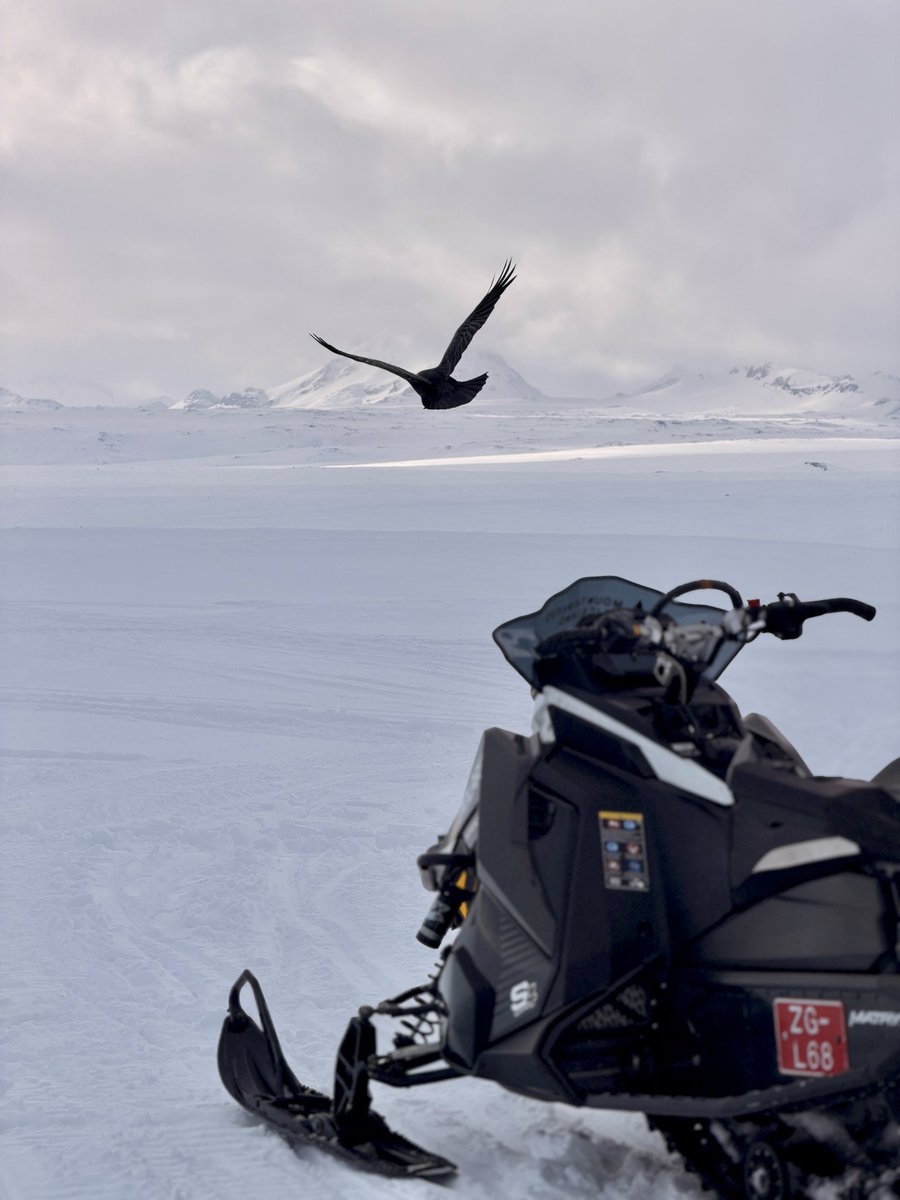 Fth 🇹🇷 tweet media