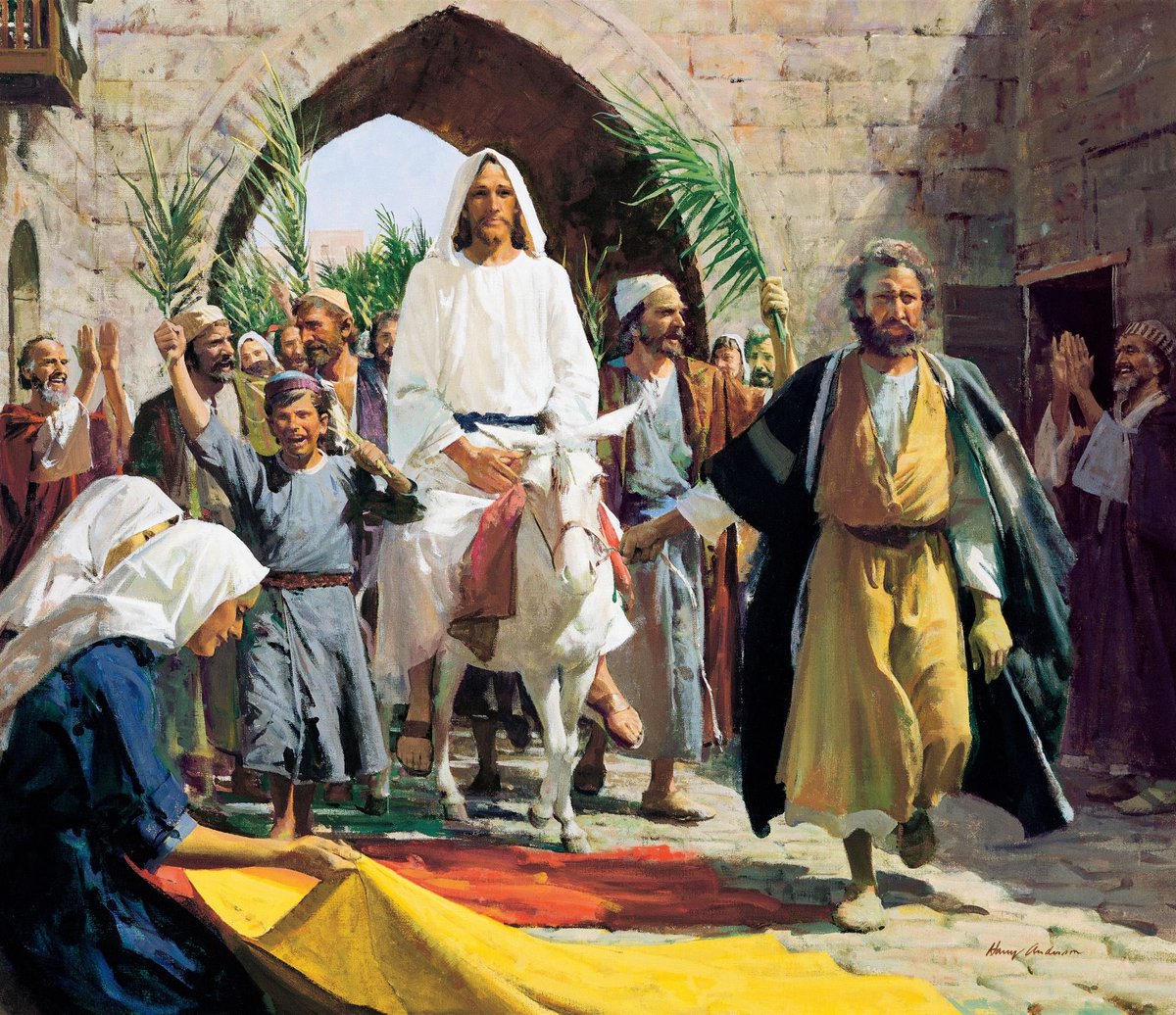 InfoSEspla's tweet photo. ¡Feliz Domingo de Ramos!✝️🕯️ https://t.co/h9imaSYpYY