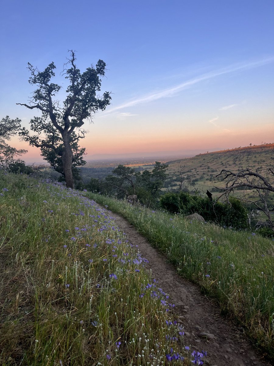 Kevin Cummings tweet media